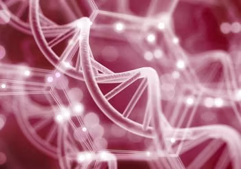 Glutation to białko znajdujące się we wszystkich komórkach naszego organizmu. Jest przeciwutleniaczem. Fot. Adobe Stock.