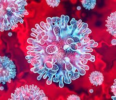Wirus Nipah – objawy, drogi zakażenia. Jak się uchronić przed śmiertelnie groźnym patogenem?