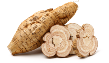 Kudzu – właściwości lecznicze, działanie i zastosowanie