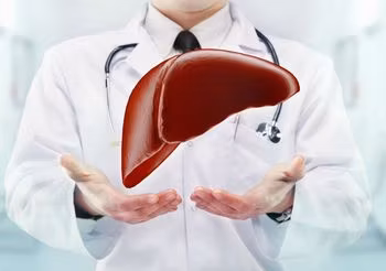 lekarz w buałym kitlu trzyma w rękach rysunek wątroby