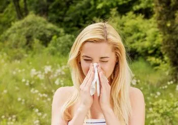 W lipcu pylą bylica pospolita, trawy oraz lipy / Fot. Adobe Stock