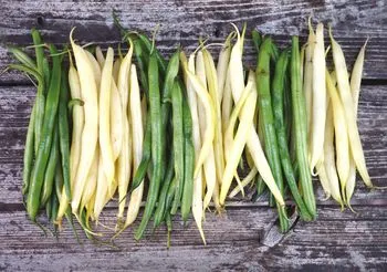 świeża fasolka szparagowa zielona i żółta