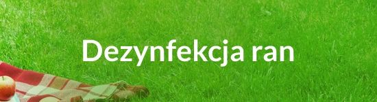 Dezynfekcja ran