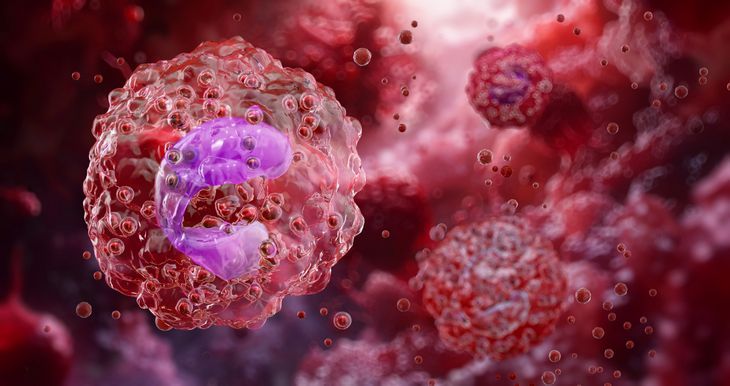 Eozynofil, czyli jedna z białych krwinek, z dwupłatowym jądrem komórkowym.