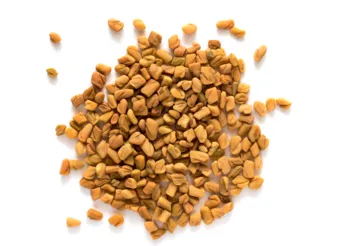 Kozieradka wykorzystywana jest m.in. w celu obniżenia poziomu cholesterolu, wspierania leczenia zaburzeń hormonalnych i wyrównania poziomu cukru we krwi. / Fot. Adobe Stock