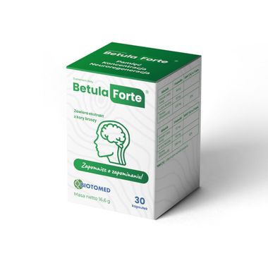 Betula Forte, pamięć, koncentracja, neuroregeneracja 