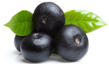 Acai – właściwości, działanie, zastosowanie. Czy acai pomaga na odchudzanie?