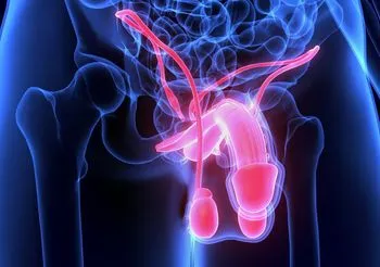 Krew w nasieniu może wystąpić w wyniku zapalenia cewki moczowej, jako powikłanie po biopsji prostaty, ale także oznaka raka jądra. Fot. Adobe Stock.