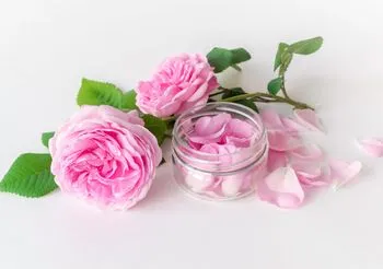 Olejek różany otrzymuje się przez destylację płatków róży damasceńskiej. Kwiaty są bardzo okazałe w kolorze od ciemnego do bardzo jasnego różu.