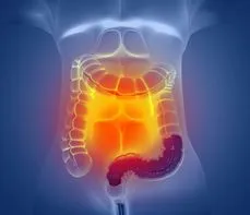 Kolonoskopia – na czym polega badanie? Normy, wskazania, przygotowanie
