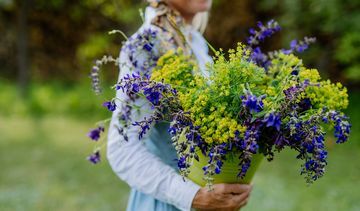 Zioła fotouczulające - lista. Po jakich ziołach nie wolno się opalać?