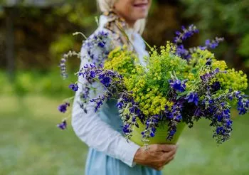 Zioła fotouczulające uwrażliwiają skórę na działanie promieni słonecznych / Fot. Adobe Stock