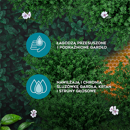 AMOLowe na gardło z miodem i witaminą C, 16 pastylek - TAKEDA