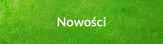 Nowości