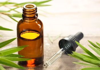 Olejek herbaciany ma silne właściwości antyseptyczne, znacznie silniejsze niż wiele znanych antybiotyków. Ze względu na   Działa przeciwbakteryjnie, przeciwgrzybiczo i przeciwwirusowo. Przyspiesza gojenie ran, leczy trądzik, łagodzi podrażnienia,   zapobiega tworzeniu się blizn, likwiduje i wybiela te już istniejące. 