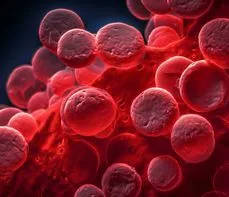 Oznaczenie hematokrytu (HCT) – na czym polega badanie? Normy, wskazania, przygotowanie