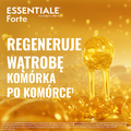 Essentiale Forte, 300 mg, 50 kapsułek - 5909990264711