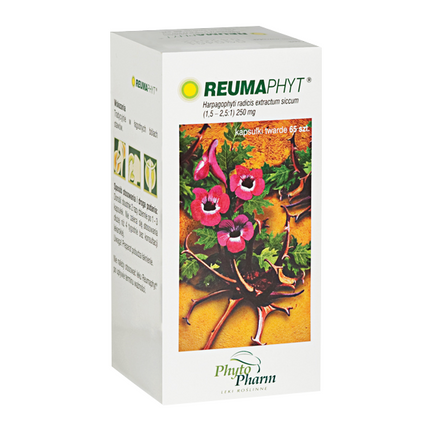 Reumaphyt 250 mg, 65 kapsułek - zdjęcie produktu