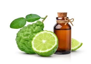 Bergamotka to niewielkie drzewo o białych pachnących kwiatach i żółtozielonych gorzkich owocach przypominających małą pomarańczę. Głównym surowcem farmaceutycznym jest skórka - zawiera dużo olejku bergamotowego. Fot. Adobe Stock.