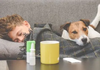 plastry na katar - dla dzieci i dorosłych - to sposób na zatkany nos