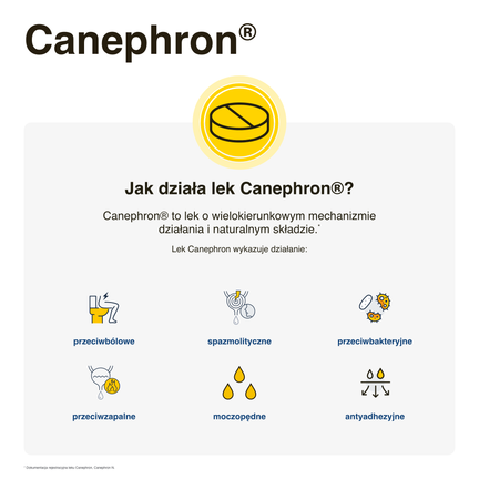 Canephron, 18 mg +18 mg + 18 mg, 60 tabletek drażowanych - BIONORICA