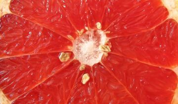 Wyciąg z pestek grejpfruta – 5 zdrowotnych korzyści