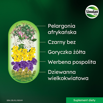 Sinulan Forte, 30 tabletek - Układ oddechowy