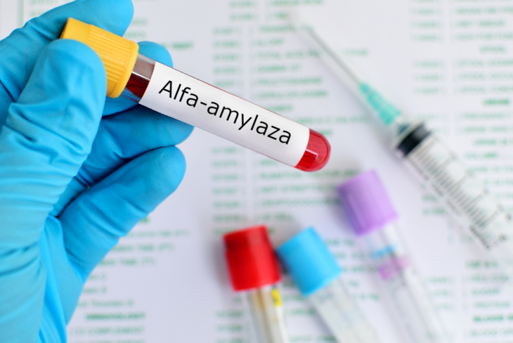 Alfa-amylaza to enzym wytwarzany głównie przez ślinianki i trzustkę. Amylaza odgrywa istotną rolę w trawieniu węglowodanów. /Fot. Adobe Stock