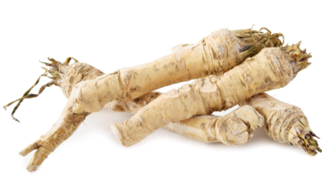 Chrzan pospolity – właściwości lecznicze, działanie, zastosowanie