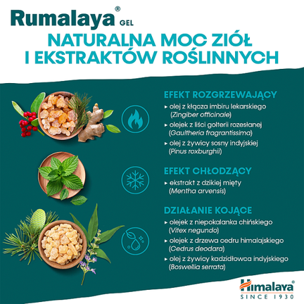 Himalaya Rumalaya, żel, 50 g - HIMALAYA