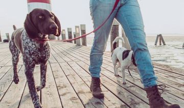 1000 kroków dziennie obniża ryzyko chorób serca