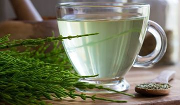 Skrzyp polny – właściwości i zastosowanie ziołowego mocarza