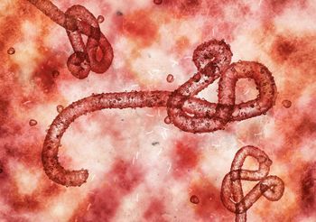 Wirus ebola.