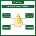 Möller's Gold Tran Norweski, cytrynowy, 250 ml - 7070866024383