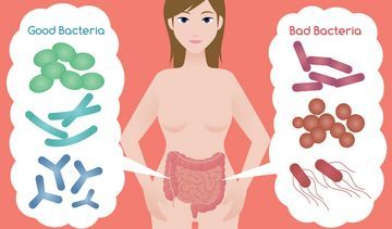 Zdrowe jelita – klucz do zdrowia całego organizmu