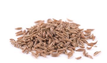 Kminek zwyczajny – właściwości lecznicze, działanie i zastosowanie