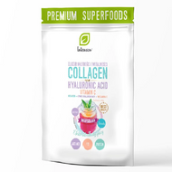 Kolagen + wit C + kwas hialuronowy, proszek, 250 g