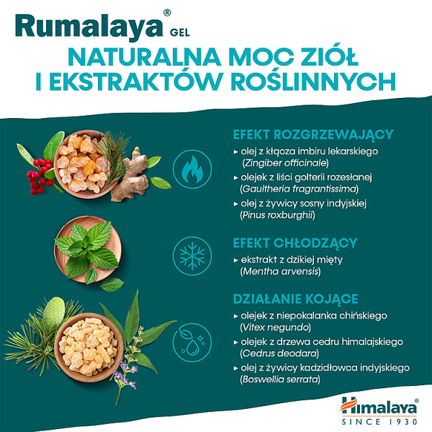 Himalaya Rumalaya, żel, 50 g - HIMALAYA
