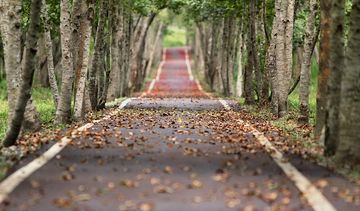 Cukrzyca skraca życie