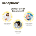 Canephron, 18 mg +18 mg + 18 mg, 60 tabletek drażowanych - TABLETKI DRAŻOWANE