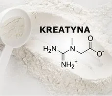 Oznaczenie poziomu kreatyny we krwi  – na czym polega badanie? Normy, wskazania, przygotowanie