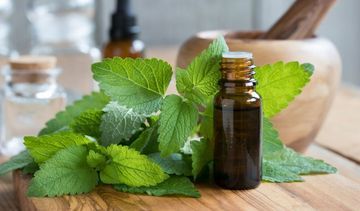 Melisa – na stres, nerwy, niepokój i nie tylko