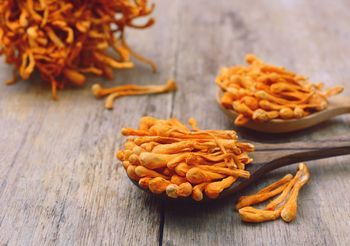 W mykoterapii używa się np. grzyba maczużnika (cordyceps).