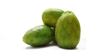 Opuncja figowa – właściwości lecznicze, działanie i zastosowanie