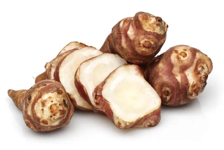 Topinambur to warzywo o słodkim, orzechowym smaku porównywalnym do karczocha. Znajdują również zastosowanie w formie pastewnej i przemysłowej do produkcji alkoholu. Znane są też właściwości lecznicze topinamburu. Fot. Adobe Stock