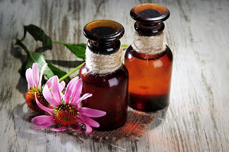 Jeżówka (Echinacea) – właściwości i zastosowanie