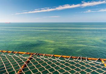 Sinice w Bałtyku - kąpiel w takich warunkach grozi pęcherzami na skórze, bólami brzucha, biegunką. Fot. Adobe Stock.