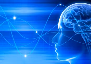 Elektroencefalografia (EEG) jest jednym z badań, przeprowadzany w ramach diagnostyki schorzeń układu nerwowego oraz u pacjentów po udarze mózgu. /Fot. Adobe Stock