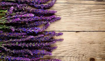 Co skrywa szałwia – poznaj jej wielorakie zastosowanie