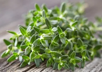 Okres jesienno-zimowy to prawdziwa zmora dla osób cierpiących na zapalenie zatok.  Towarzyszący chorobie silny ból głowy pomaga zlikwidować tymianek